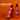 BOOST - Hair Growth Duo